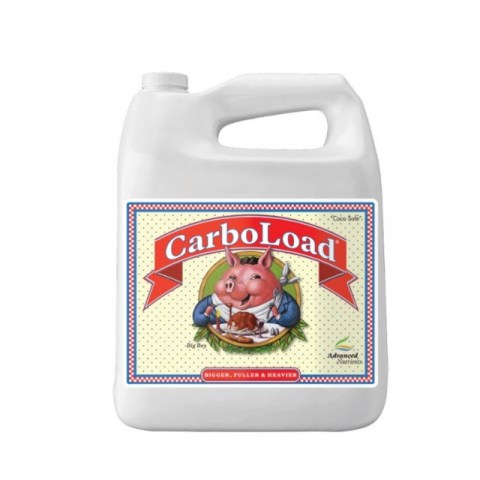 Carboload Liquid 5 lt